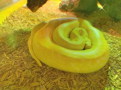 -海合安武汉极地海洋公园