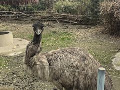 -宁波野生动物园