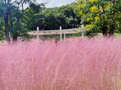 -牛岗山公园