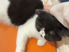 -平行世界·猫咖(首经贸店)