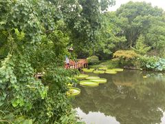 -上海滨江森林公园