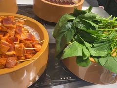 -龍歌自助小火锅(崂山丽达店)