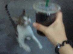 -星巴克(深圳五洲星苑店)