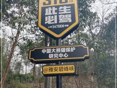 -中国大熊猫保护研究中心雅安碧峰峡基地