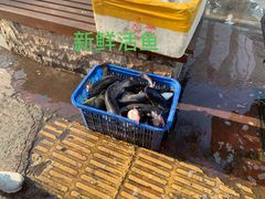 -三煮纸包鱼(青岛总店)