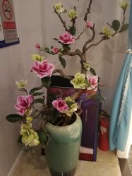 点击看大图 -玛妮雅科技纤体美容