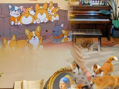 -柯斗斗主题餐厅·狗咖·围炉煮茶·茶饮(国瑞升平里店)