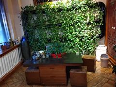 -孙三拨按摩拨筋(五一路店)