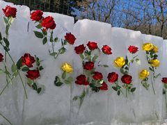 -鲁山国家森林公园