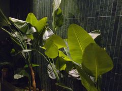 -涟LIAN·泰式按摩·MASSAGE·SPA(华强北店)