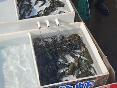 -上海龙吴水胜海发市场
