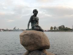 -美人鱼