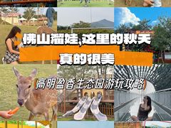 -盈香心动乐园