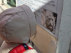 -青藏高原野生动物园