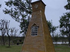 -上海海湾国家森林公园