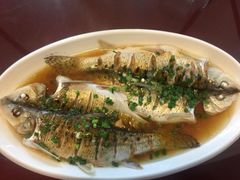 -呼吸森林·生态农庄农家乐私房菜