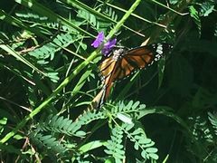 -龙坑生态保护区