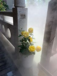 -安琪朵朵独栋花园月子中心