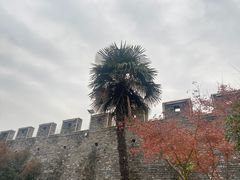 -水绘园