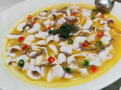 -青花椒花椒鱼(合生汇店)