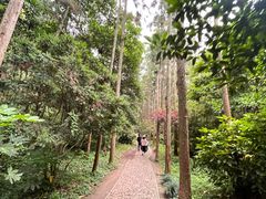 -狼山风景名胜区