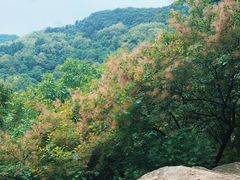 -秦岭终南山世界地质公园翠华山景区