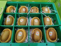 -双福水果批发市场