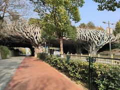 -习家池