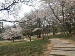 -青岛中山公园-索道售票处
