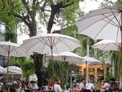 -Fern Forest Cafe