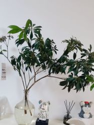 -美肤盾祛痘·问题肌头疗管理中心