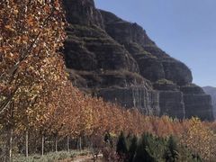 -天鹅湖生态旅游风景区