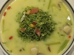 上汤豆苗-京味民福烤鸭店(建设四马路店)