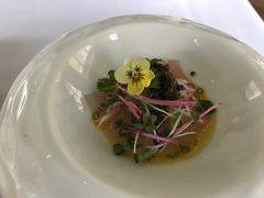 -蝶舍·MAISON PAPILLON