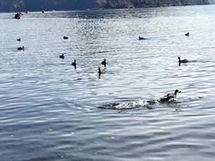 -丽江泸沽湖景区
