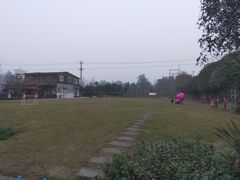 -洪湖家庭农场·团建·露营·会议