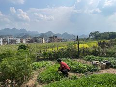 -逢缘柴火农家乐(连南店)