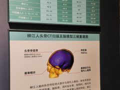 -柳州白莲洞洞穴科学博物馆