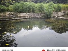 -成都市活水公园