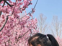 -郑州植物园