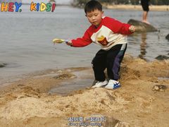 -瑶湖郊野森林公园