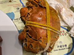 -苏州苏州湾艾美酒店-新食谱全日制餐厅