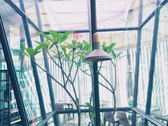 -肴约·花园式餐厅(湖里店)