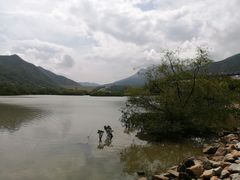 -西涌国际滨海旅游区