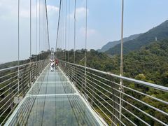 -南丹山森林王国