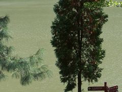 -秦岭终南山世界地质公园翠华山景区
