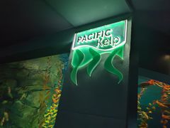 -瑞普利水族馆