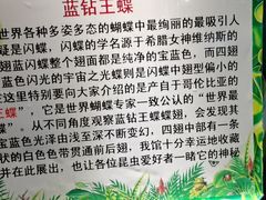 -上海大自然野生昆虫馆(东方明珠·爬宠昆虫探索中心)