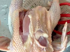 -开平碉楼文化旅游区马降龙景区