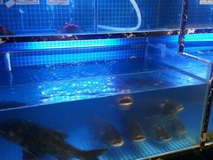 -姜君·千岛湖鱼头馆(浦东大道店)